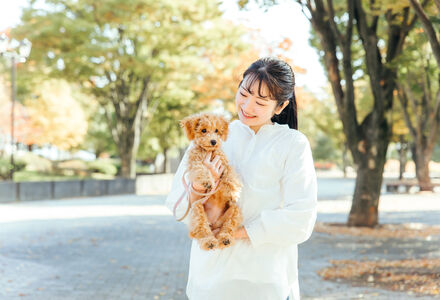 AdobeStock_484070996
