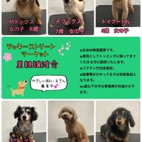 画像1354