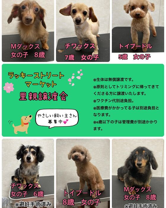 画像1354