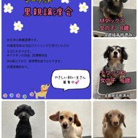画像1363