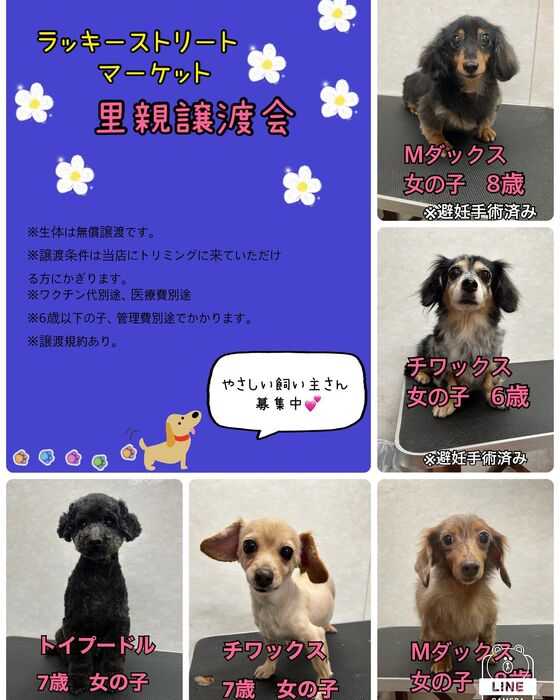 画像1363