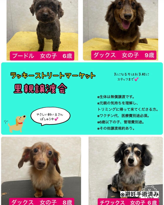 画像1376