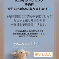 画像1382