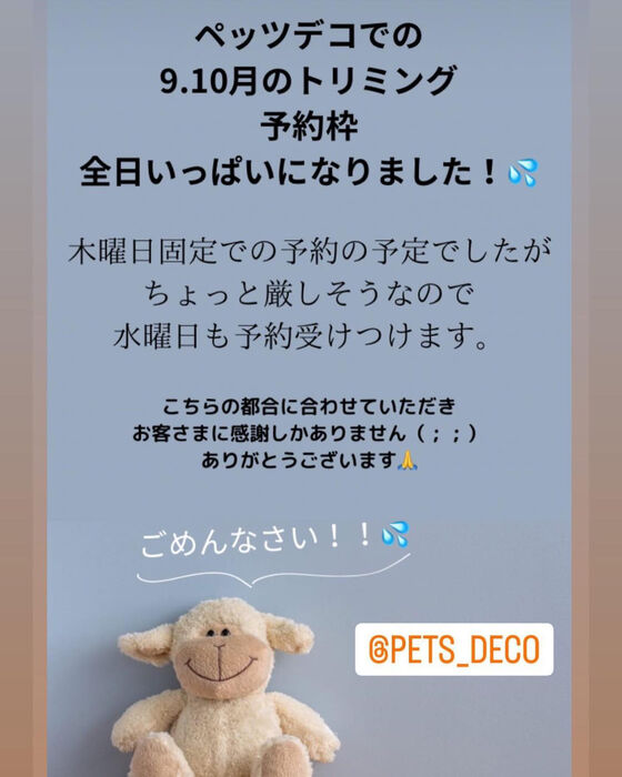 画像1382