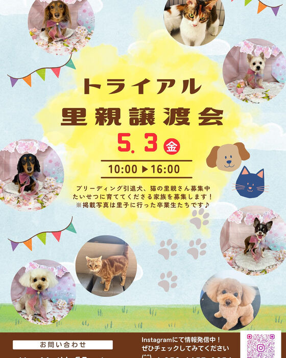 画像1389
