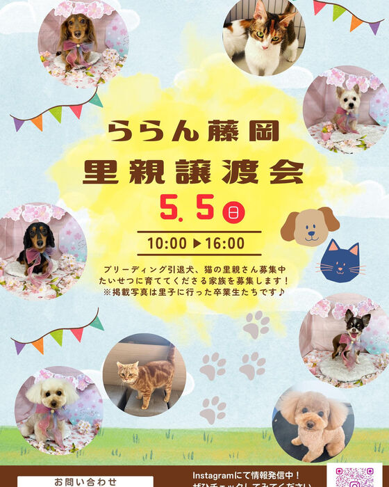 画像1391