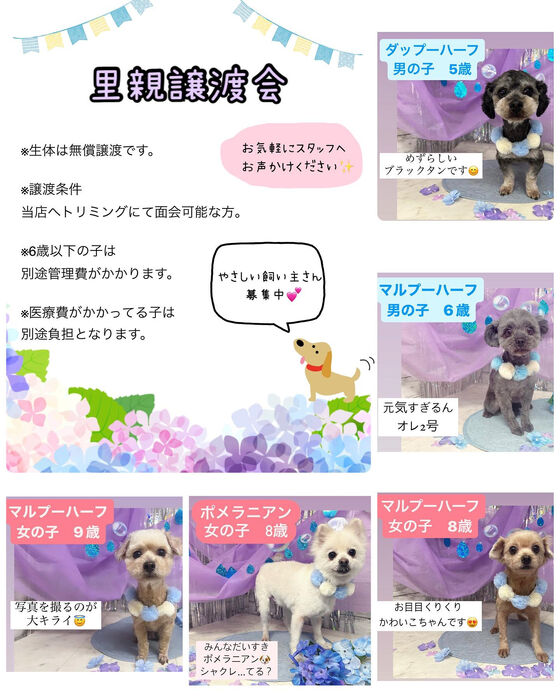 画像1393