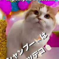 画像1397