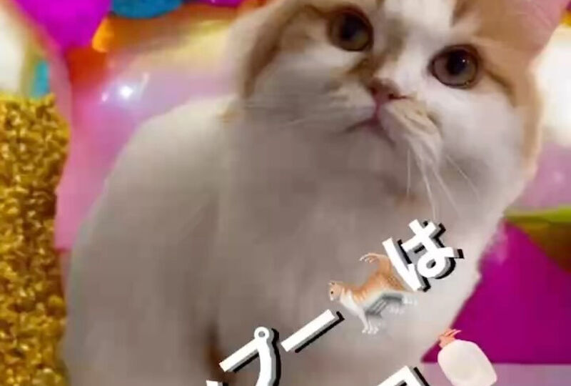 画像1397