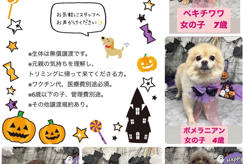 画像1399