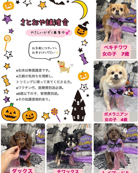 画像1399